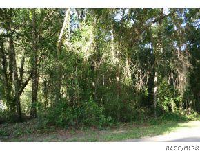 411 Poppy Ln., Inverness, FL 34452