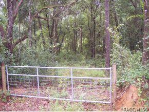 [Address Hidden by Seller], Hernando, FL 34442