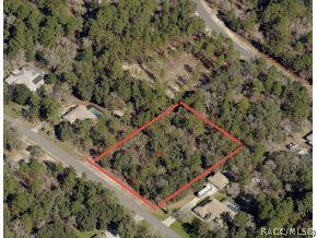 2087 W Tall Oaks Dr., Beverly Hills, FL 34465
