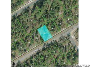 9490 N Camel Dr., Citrus Springs, FL 34434