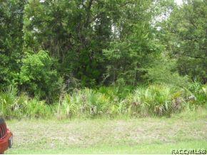 Cason Blvd., Inglis, FL 34449