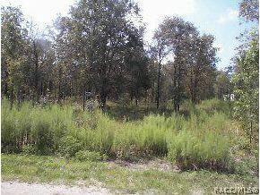 [Address Unavailable], Morriston, FL 32668