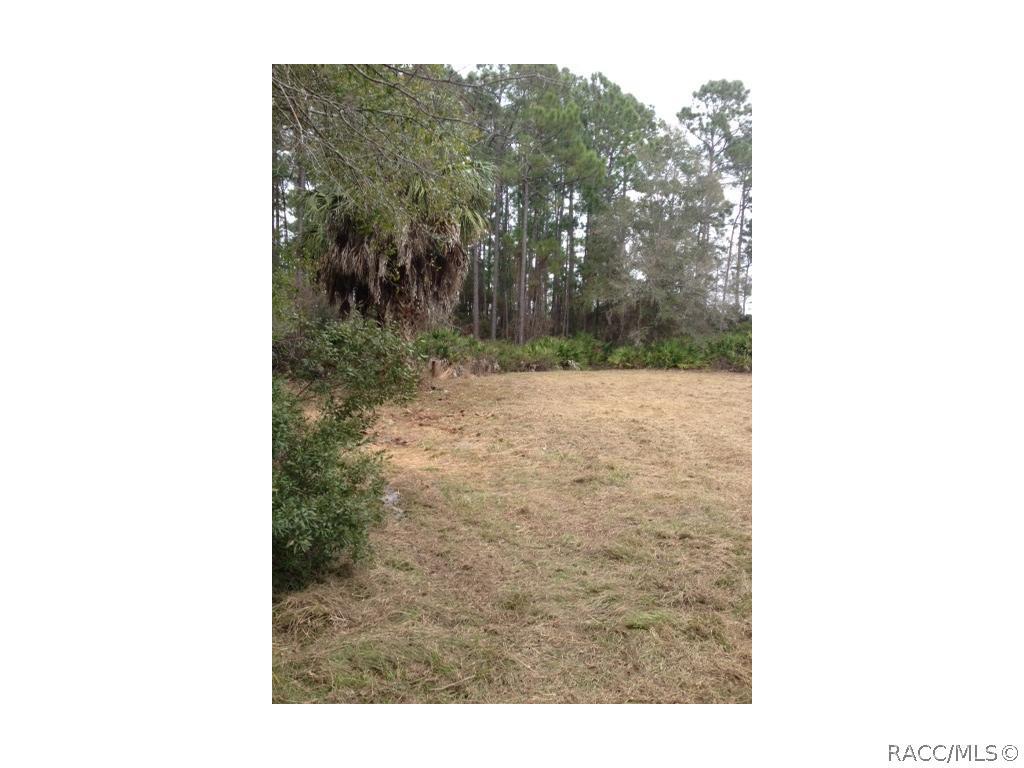 209 Sandi St., Inglis, FL 34449