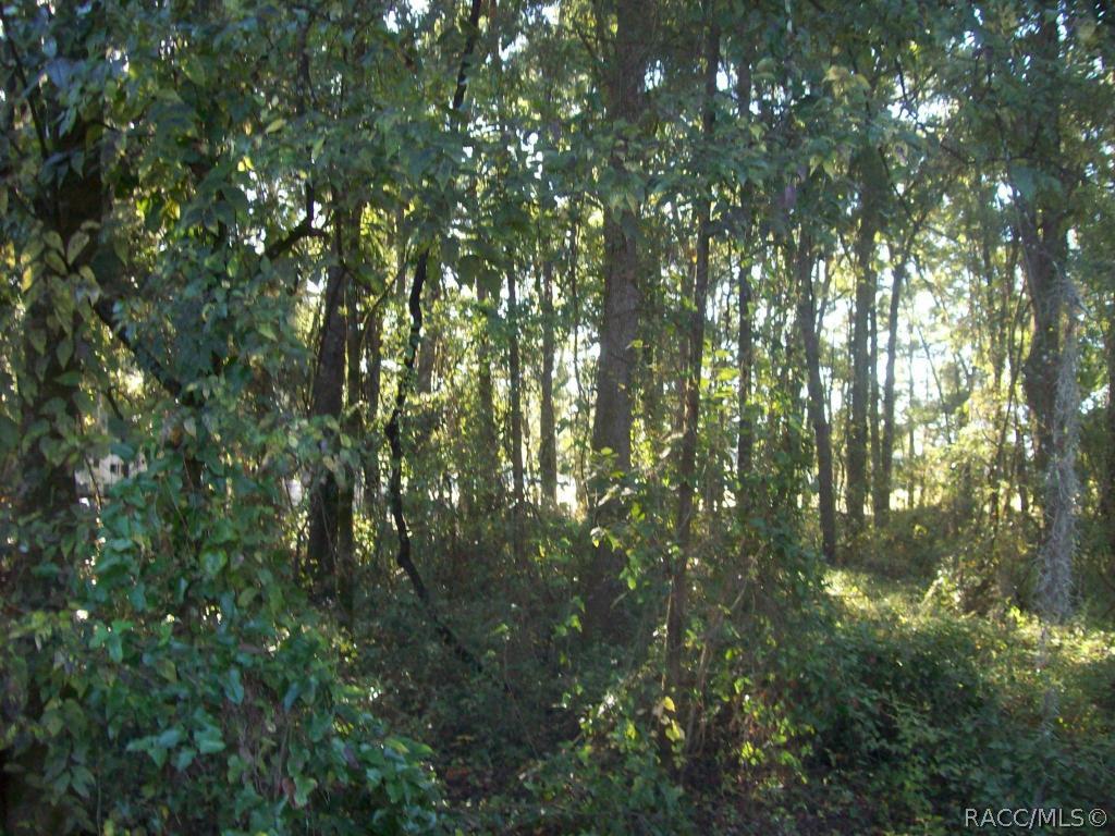 64256435 E Willow, Inverness, FL 34452