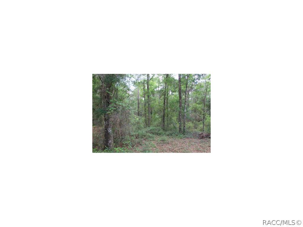 660 N Heathrow Dr., Lecanto, FL 34461