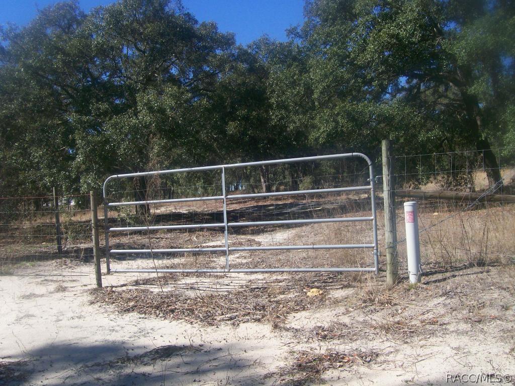 7348 S Elsie Point, Lecanto, FL 34461