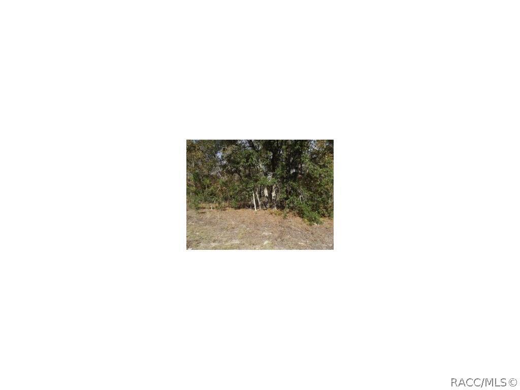 3617 Birds Nest, Beverly Hills, FL 34465