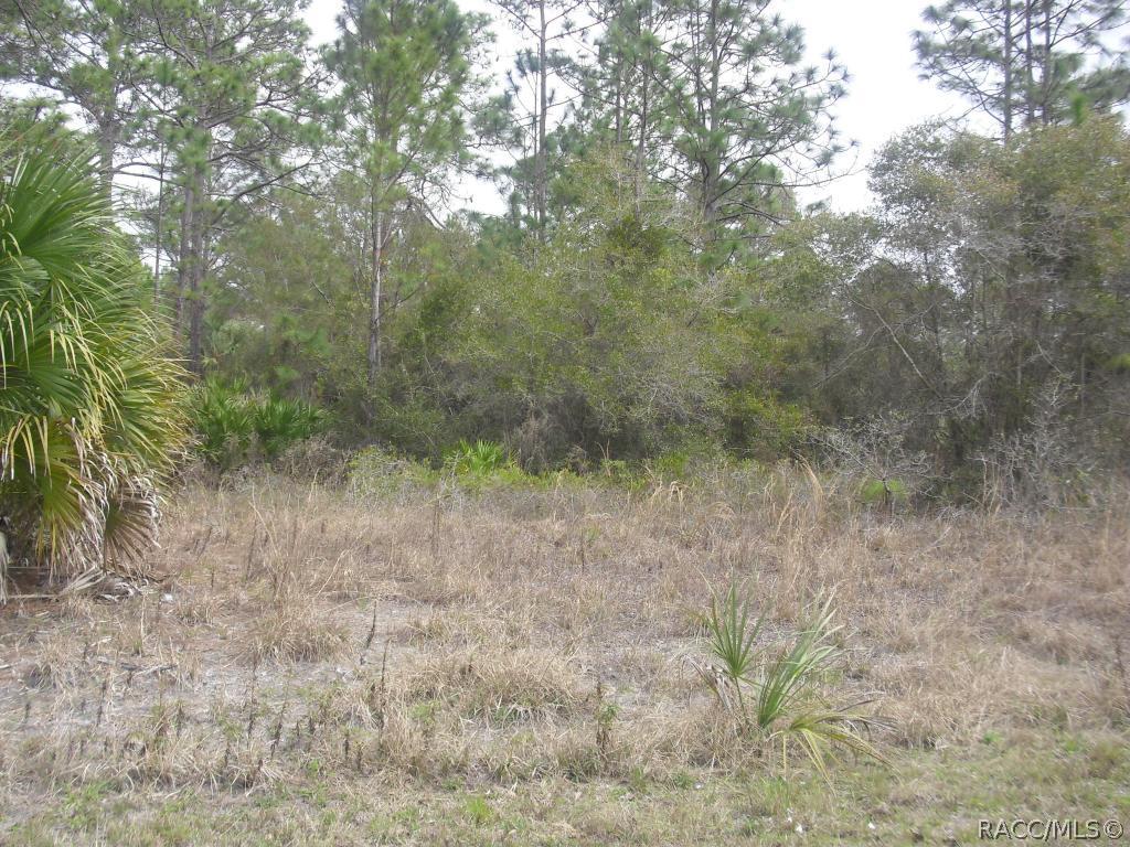 Lori St., Inglis, FL 34449