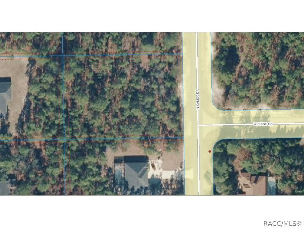 5846 N Calico Dr., Beverly Hills, FL 34465