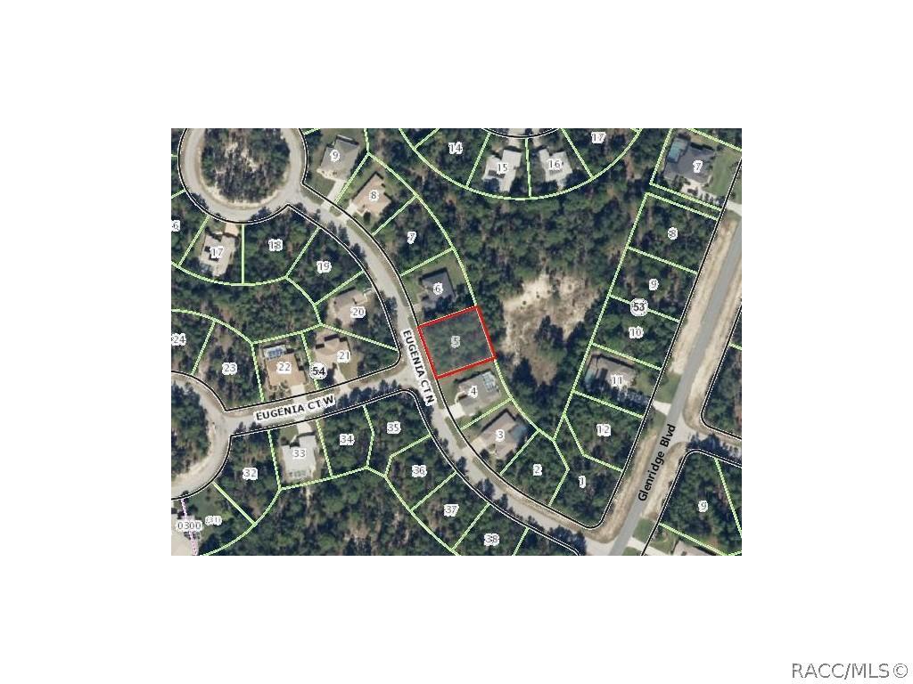 11 Eugenia Ct., Homosassa, FL 34446