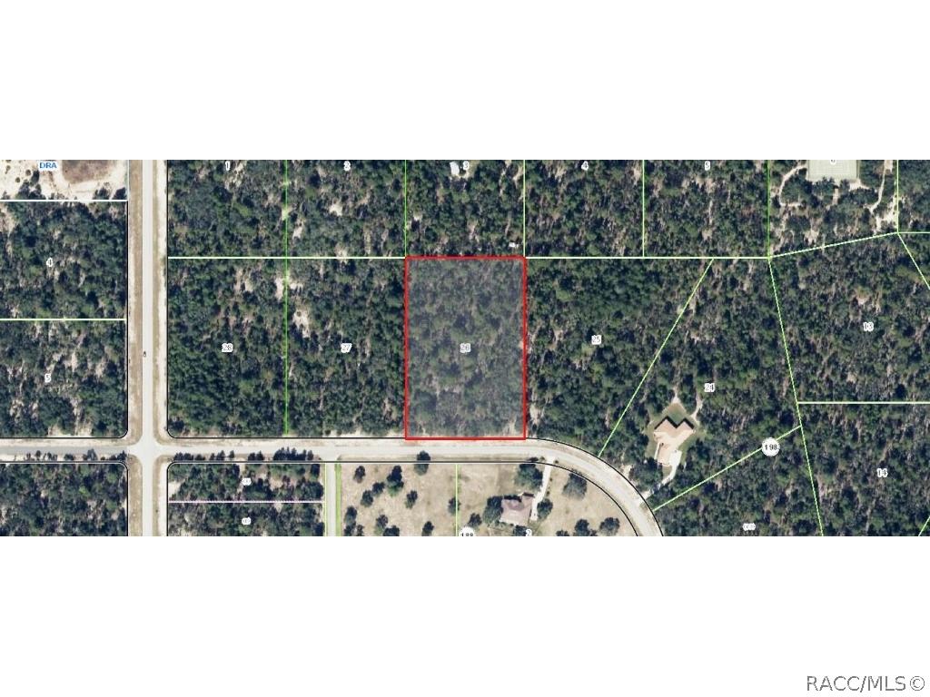 5291 W Deputy Dr., Beverly Hills, FL 34465