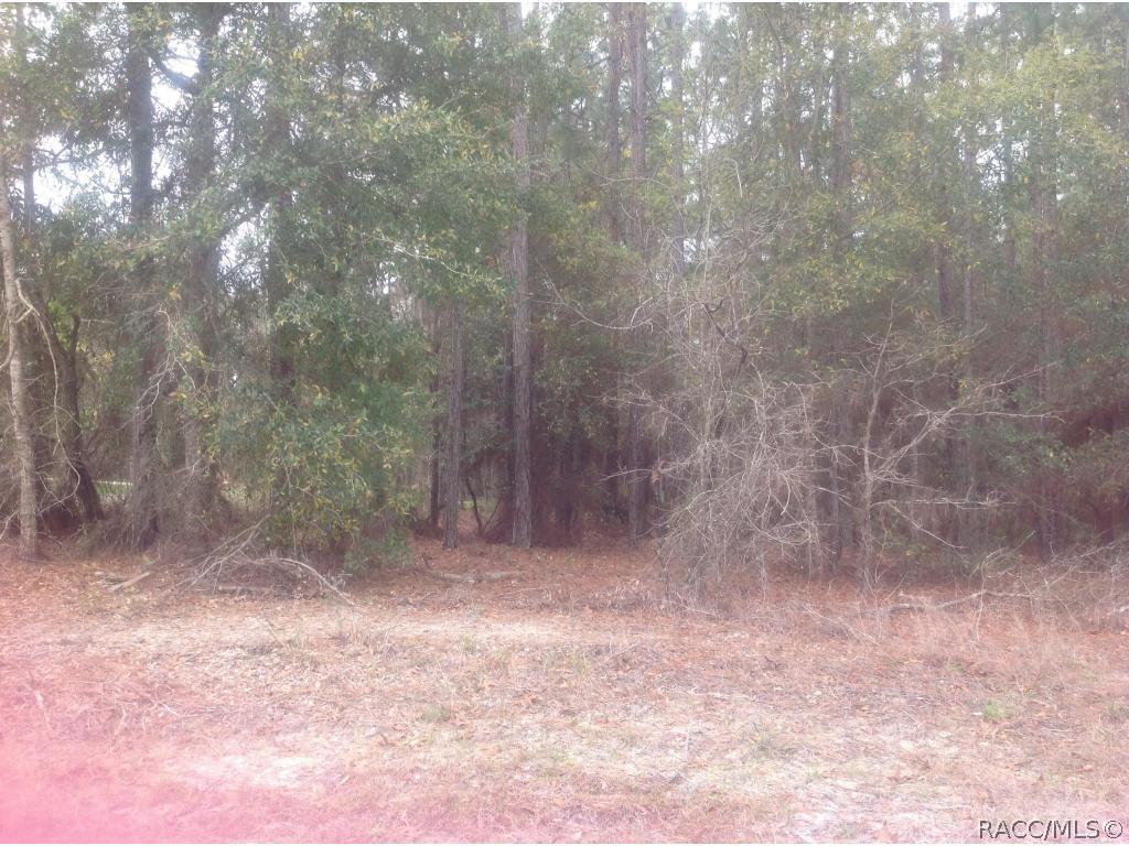 [Address Hidden by Seller], Beverly Hills, FL 34465