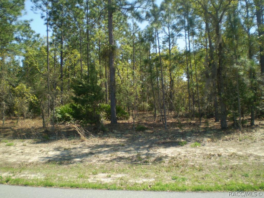 4894 W Custer Dr., Beverly Hills, FL 34465