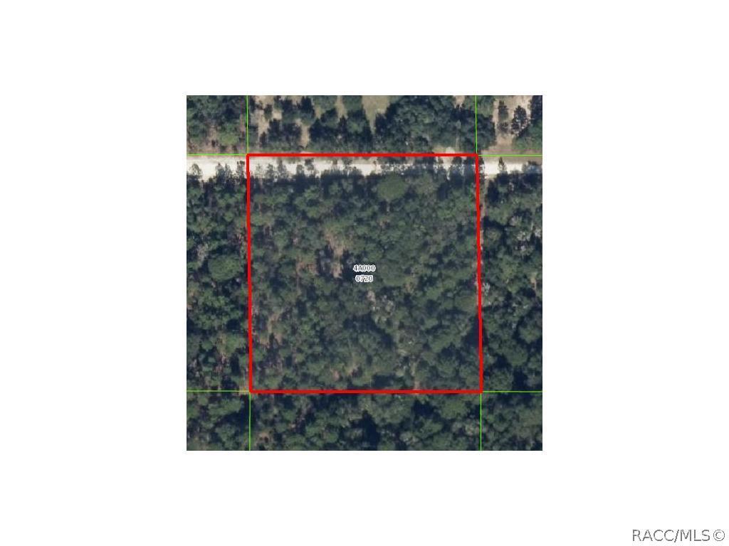1658 W Jenny St., Lecanto, FL 34461