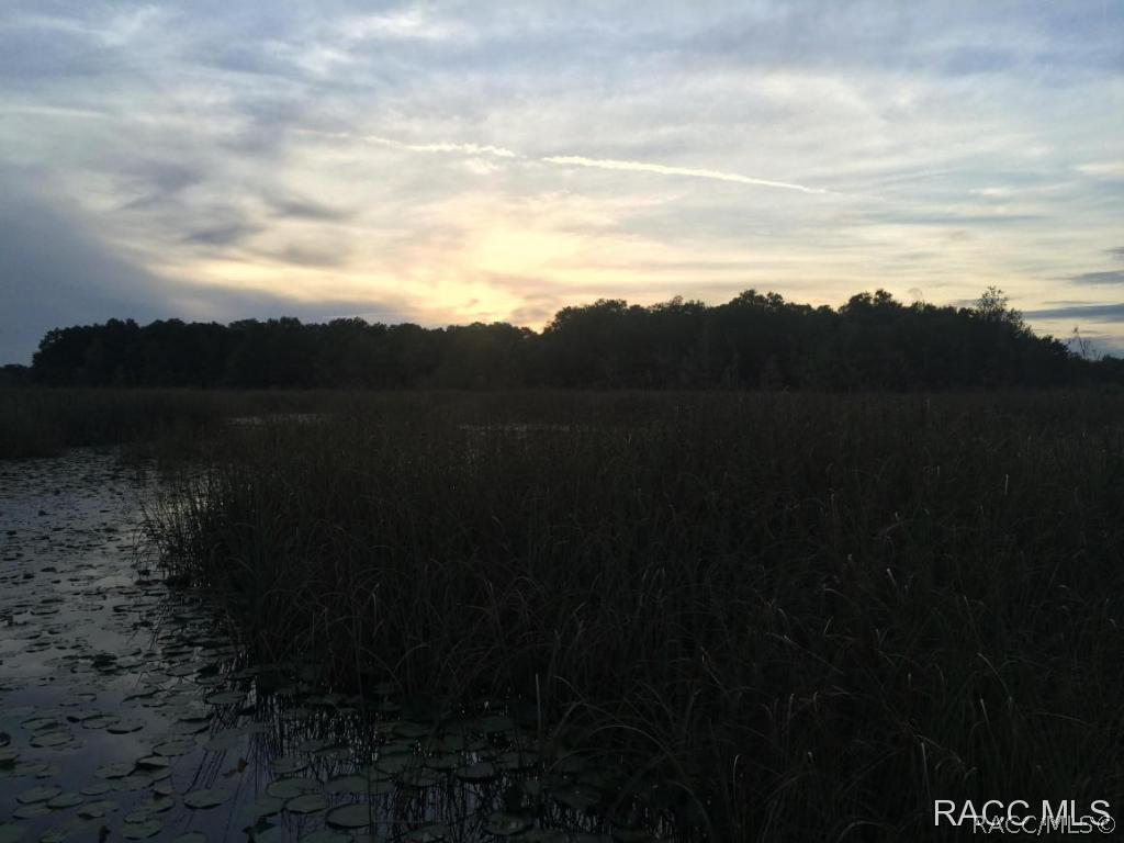 750 Tsala Apopka Lake, Inverness, FL 34453