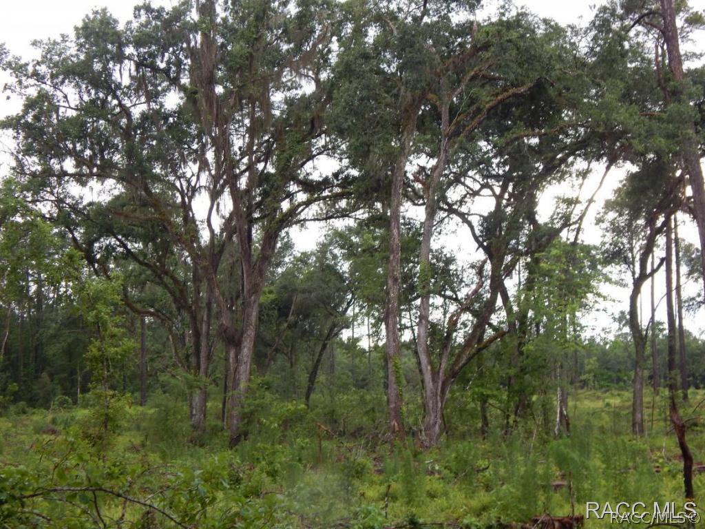00 NW Highway 225, Ocala, FL 34482