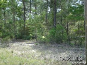 4306 W Prairie Ln., Beverly Hills, FL 34465