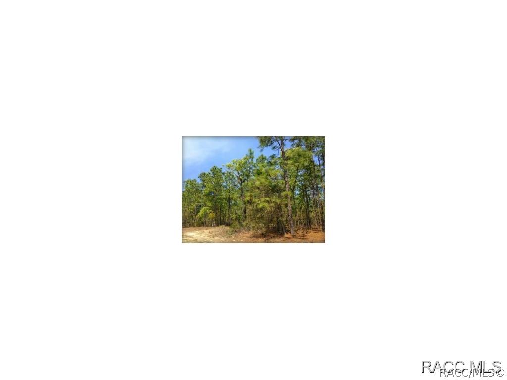 4453 W Stable Ct., Beverly Hills, FL 34465
