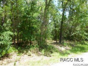 3157 E Scofield St., Inverness, FL 34453