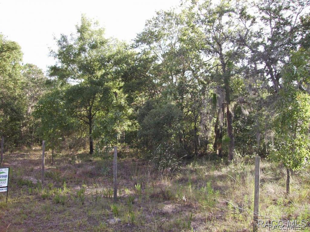 9290 S Brittany Path, Inverness, FL 34452
