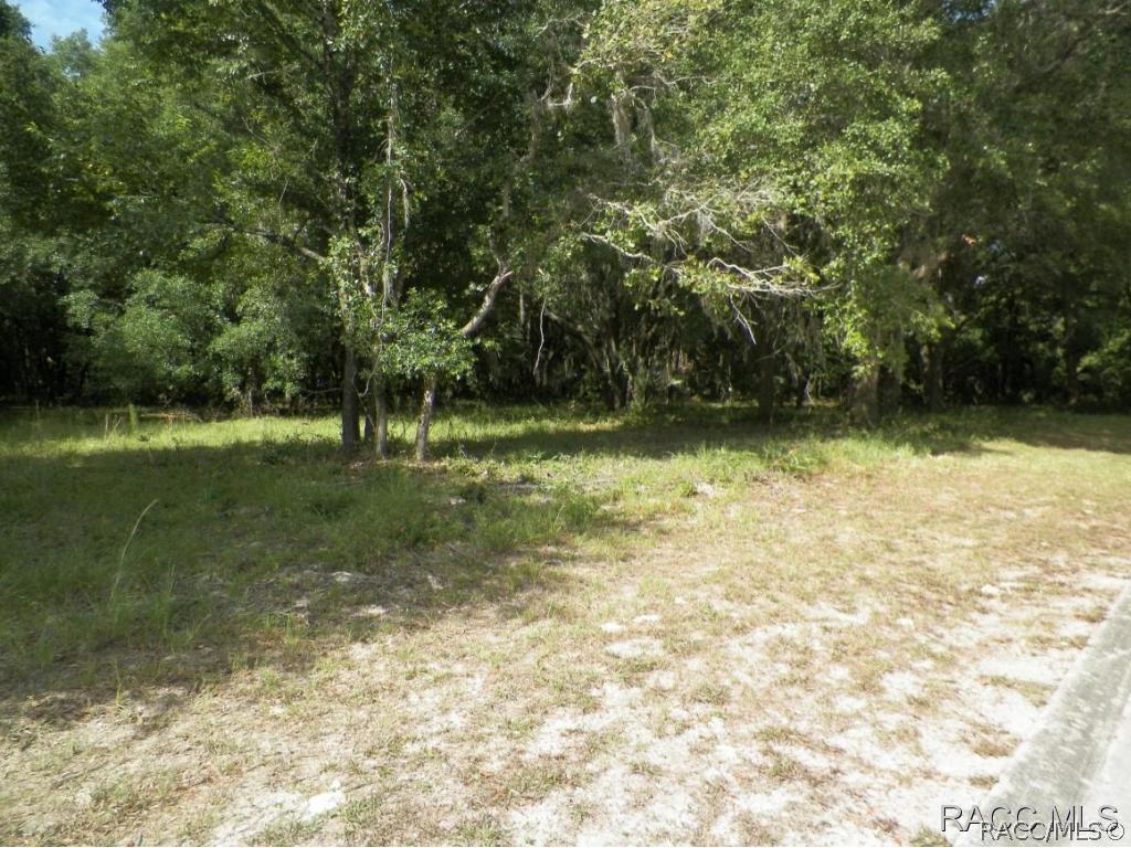 1127 S Purdue St., Inverness, FL 34450