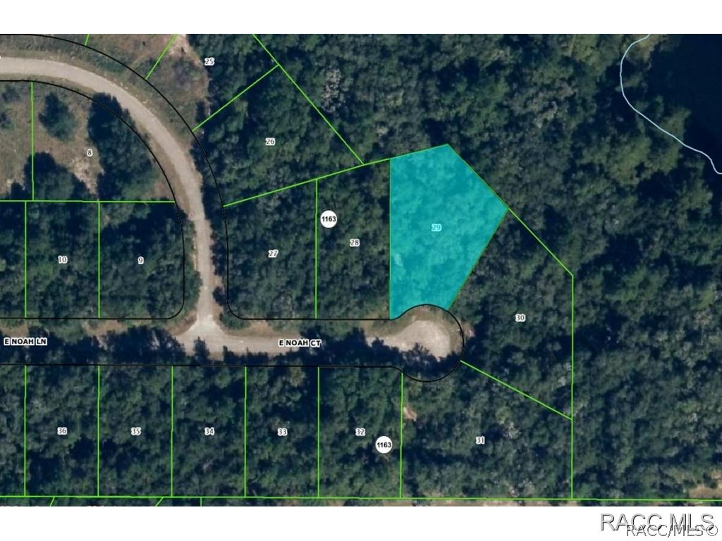 1051 E Noah Ct., Citrus Springs, FL 34434