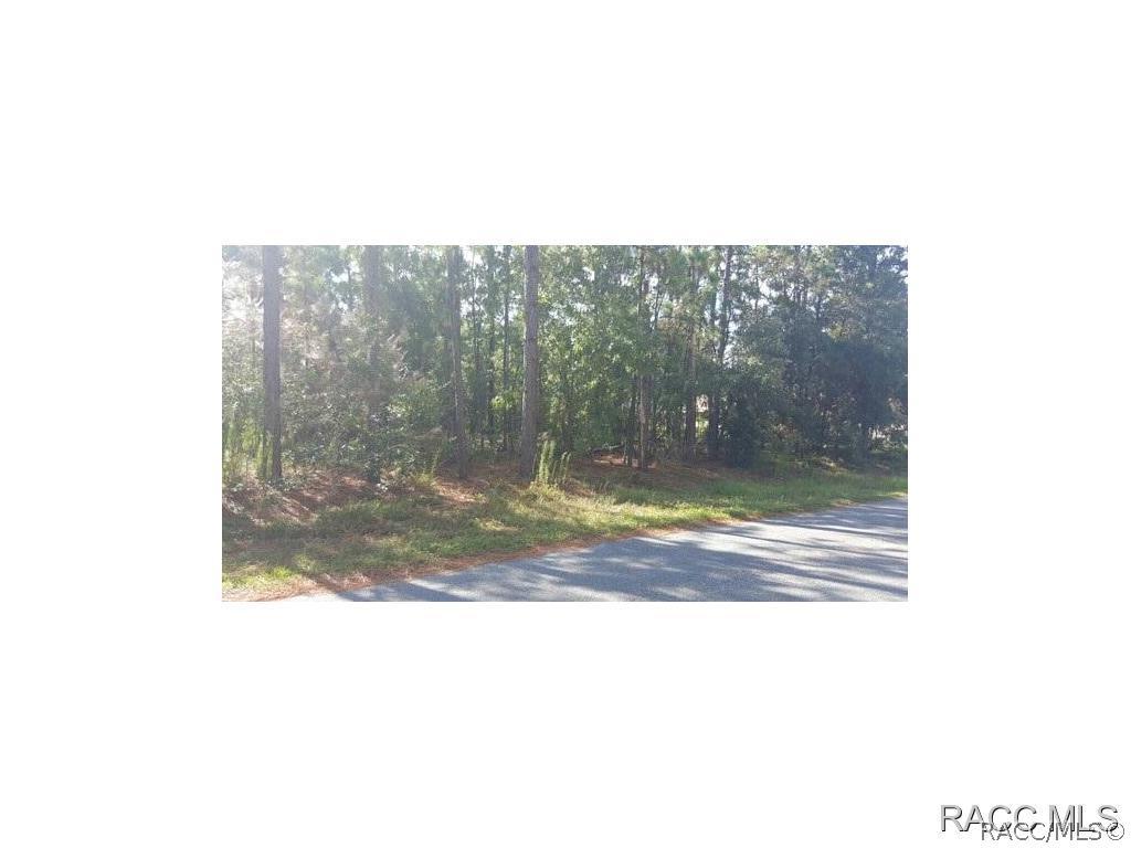 68 Whitewood St., Homosassa, FL 34446
