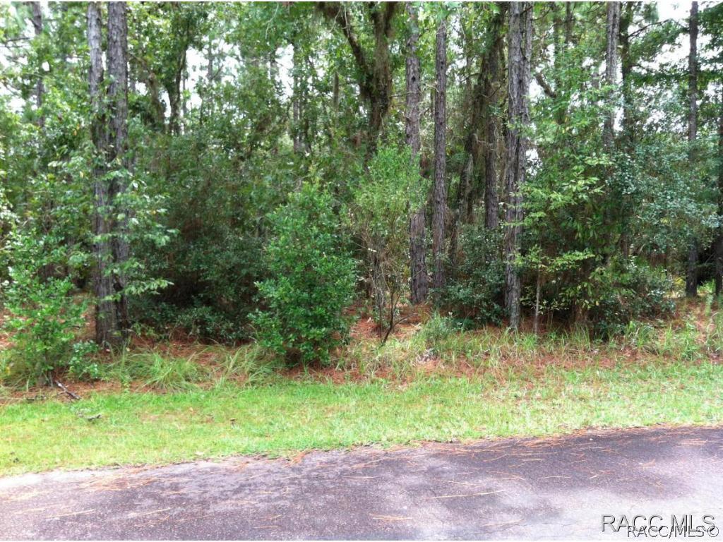 254 E Foster Ct., Lecanto, FL 34461