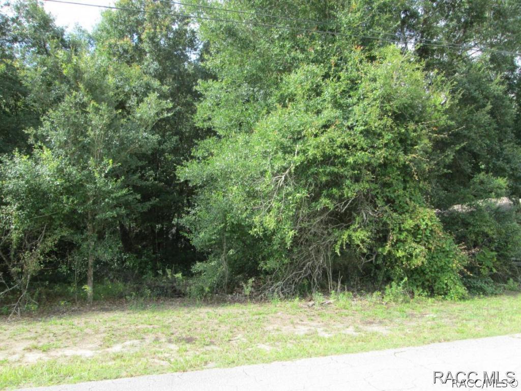 6066 E Peach St., Inverness, FL 34452