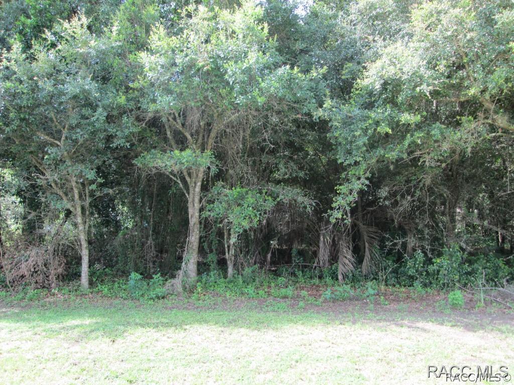 6080 E Peach St., Inverness, FL 34452