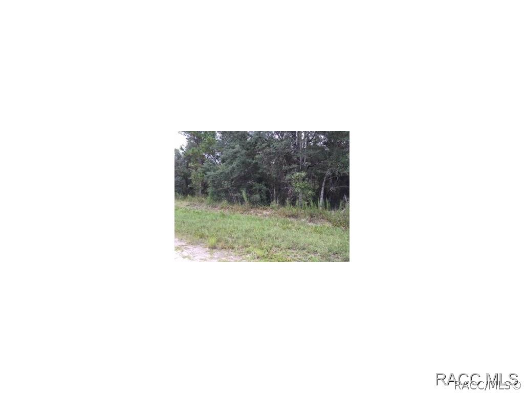 11014 Golden Warbler Rd., Brooksville, FL 34613