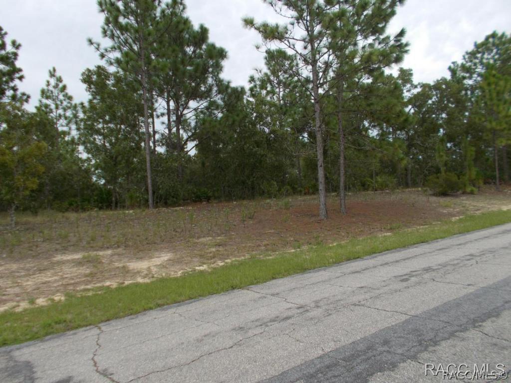 4614 W Tomahawk Dr., Beverly Hills, FL 34465