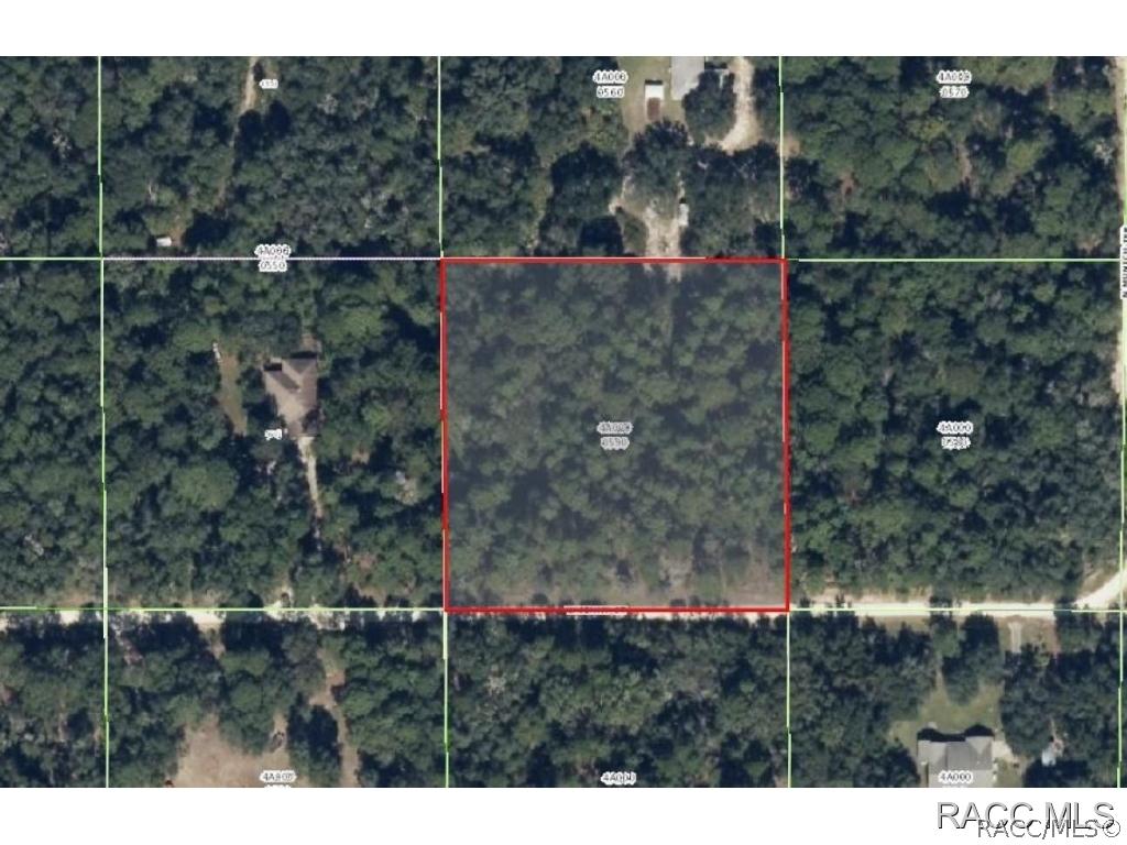 1407 W Jenny St., Lecanto, FL 34461