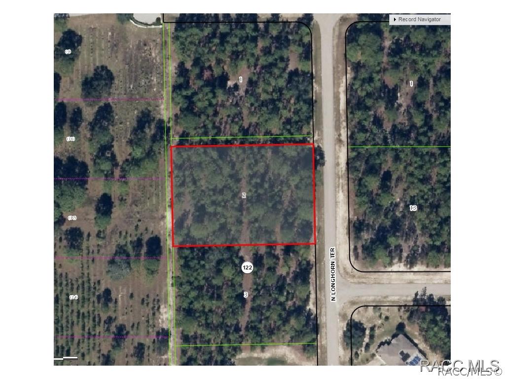 5884 N Longhorn, Beverly Hills, FL 34465