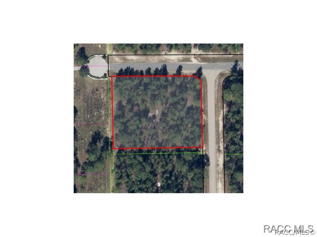 5852 N Longhorn, Beverly Hills, FL 34465