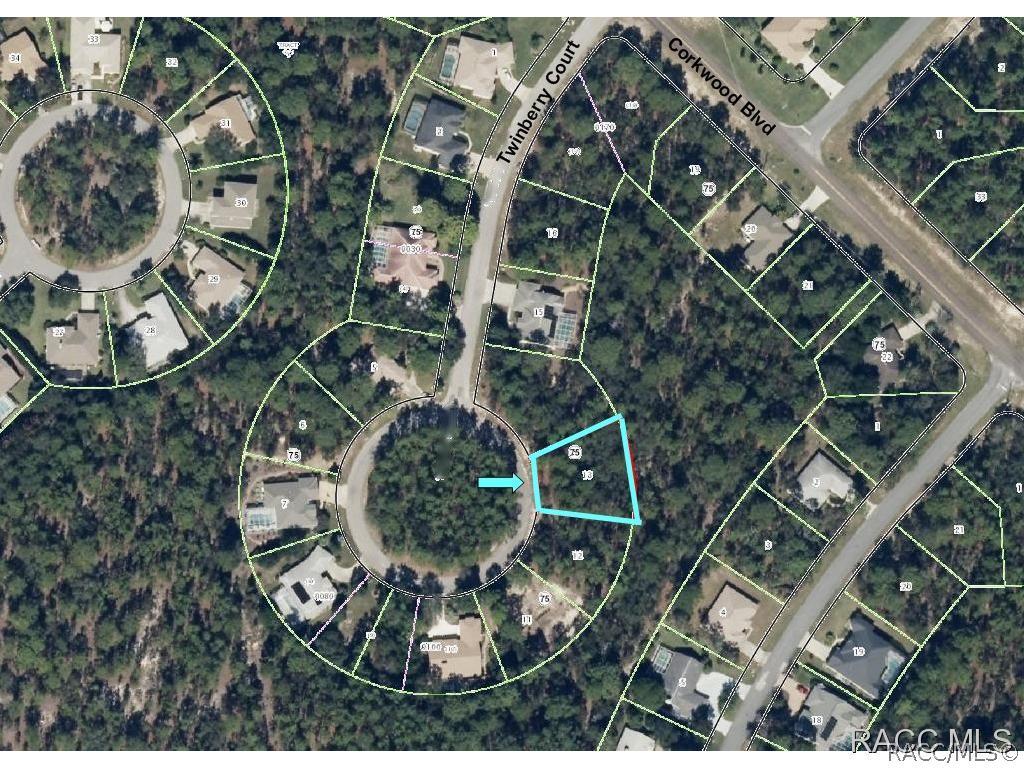 11 Twinberry Ct., Homosassa, FL 34446