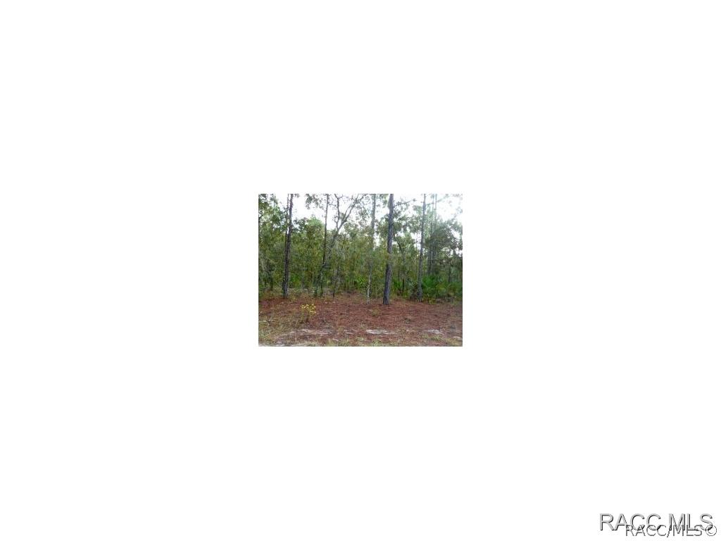 4425 N Sacramento Ave., Beverly Hills, FL 34465