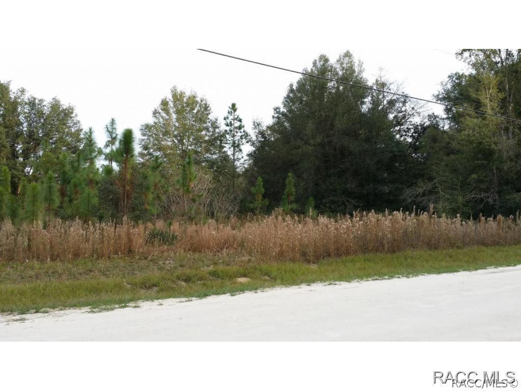 3055 SW 146th Ct., Ocala, FL 34481