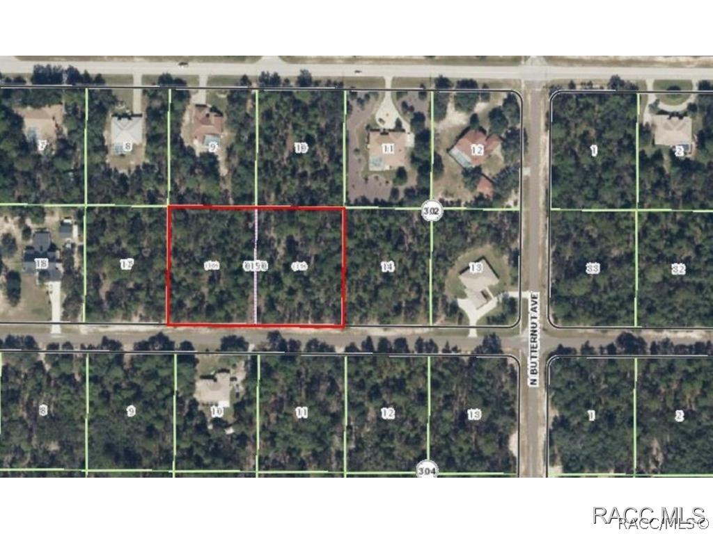 3547 W Brazilnut, Beverly Hills, FL 34465