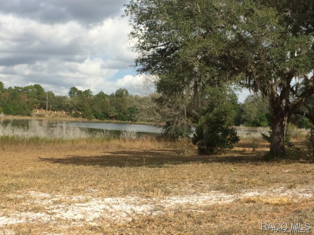 9167 Ostrom Way, Weeki Wachee, FL 34613
