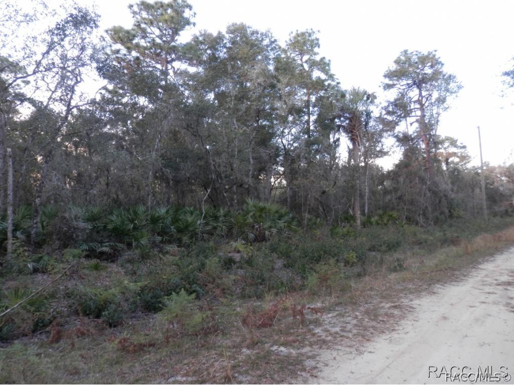 418 N Candle Point, Crystal River, FL 34429