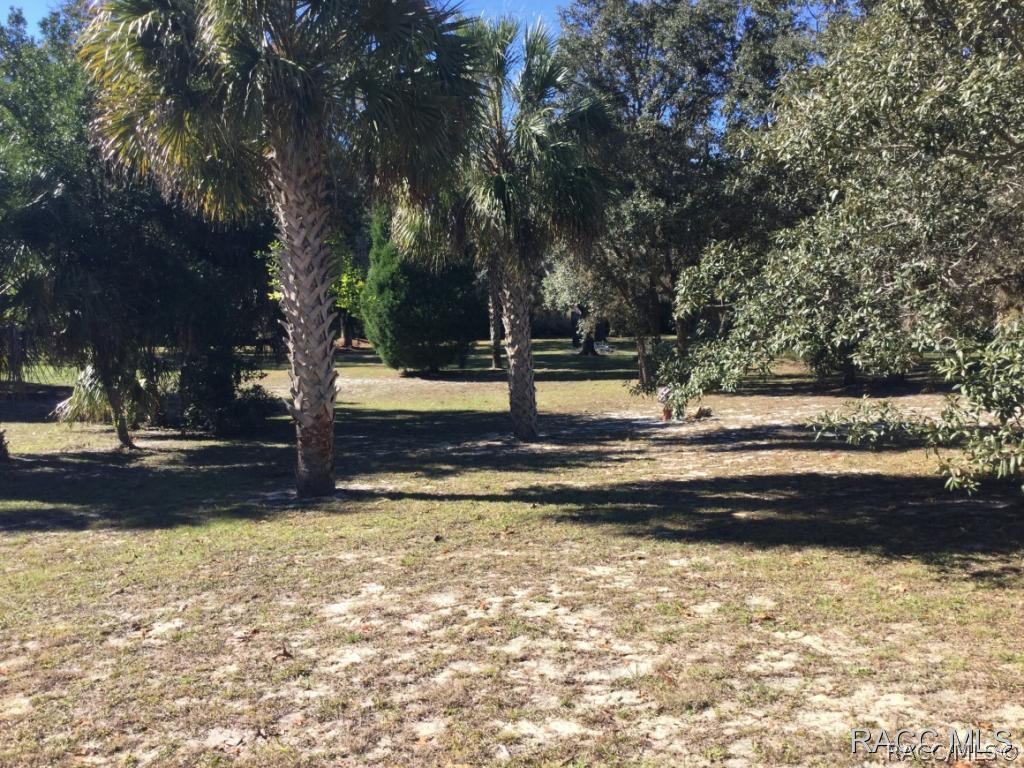 520 N Mcgowan Ave., Crystal River, FL 34429
