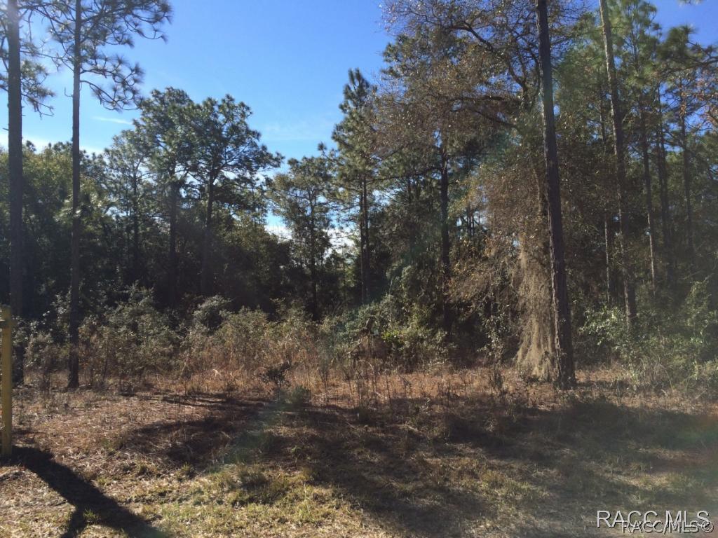 4930 E Amy Ln., Inverness, FL 34452