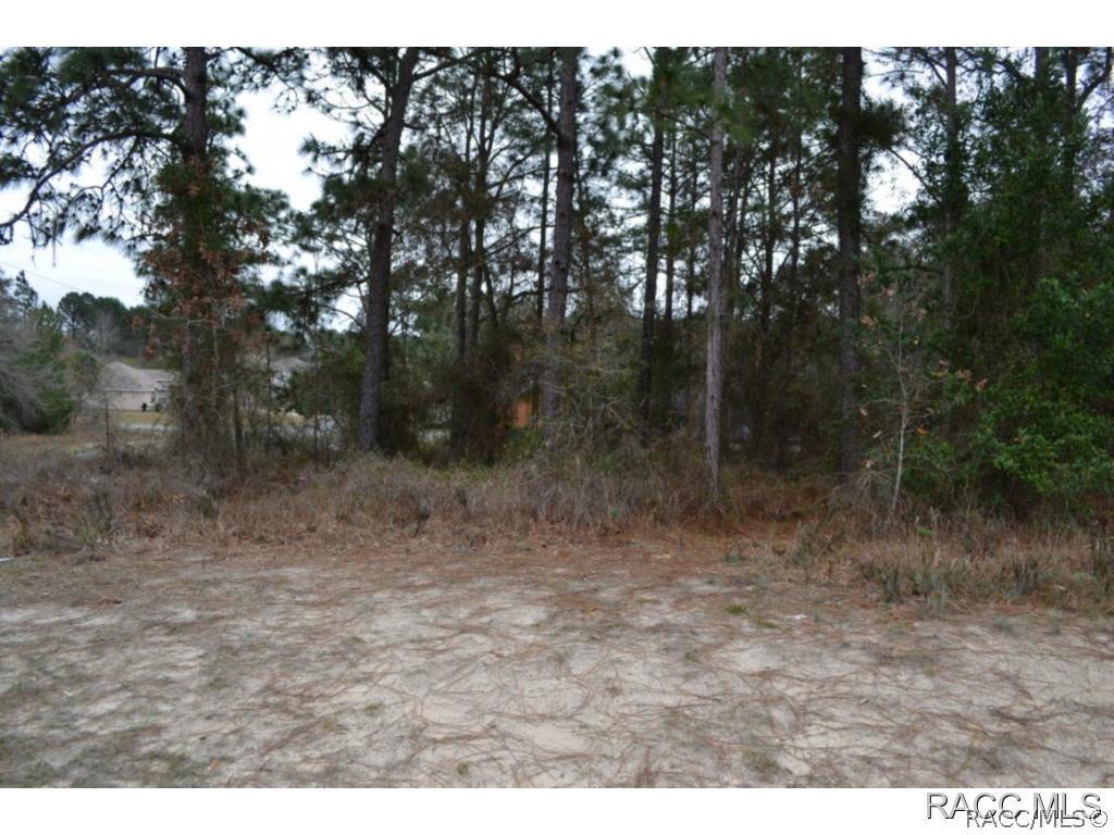 4344 N Landover Blvd., Spring Hill, FL 34608
