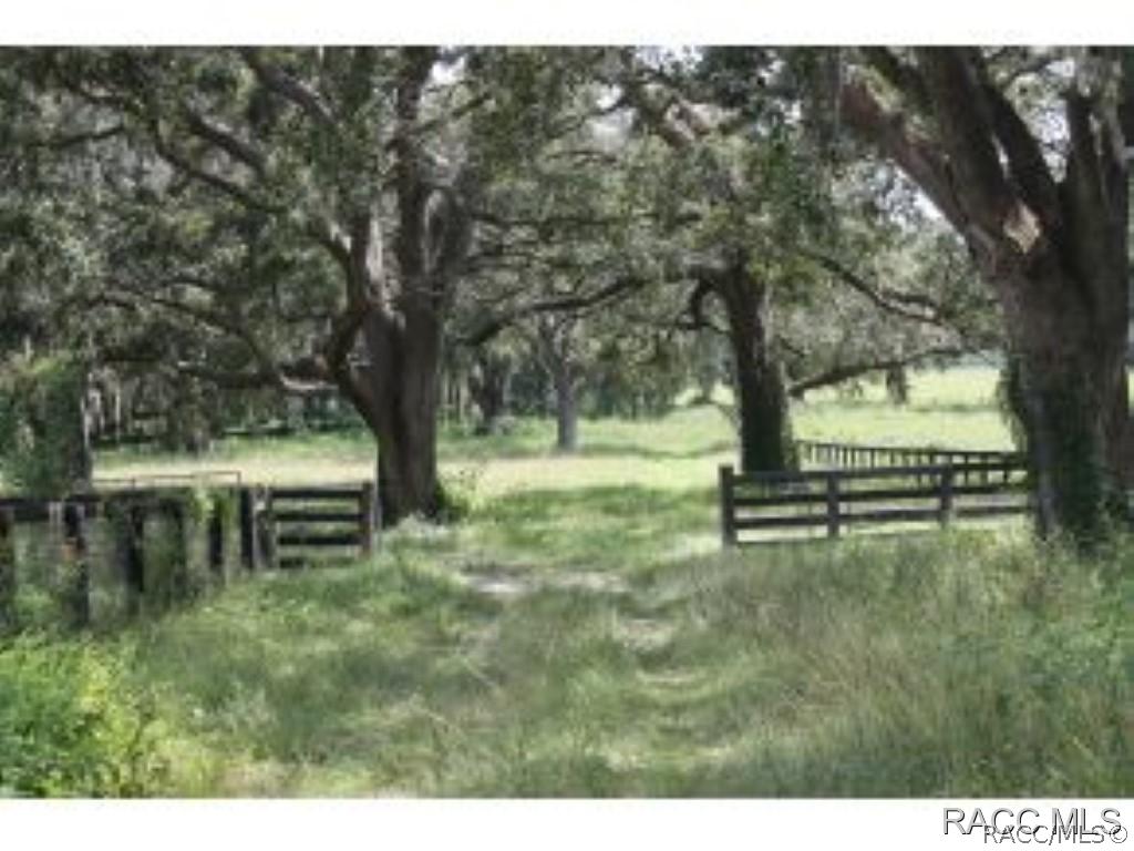 23422 NW 27th St., Morriston, FL 32668