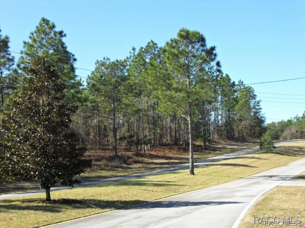146 Cypress Blvd., Homosassa, FL 34446