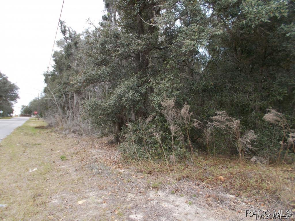 [Address Hidden by Seller], Inverness, FL 34452