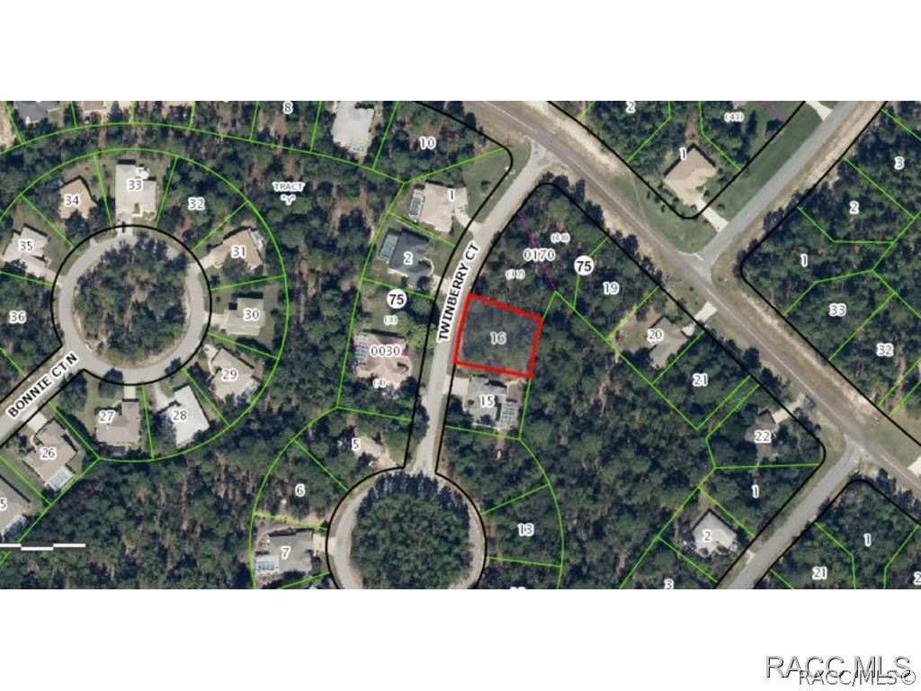 5 Twinberry Ct., Homosassa, FL 34446