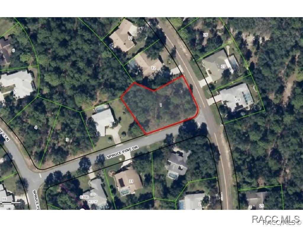 2 Spruce Pine Dr., Homosassa, FL 34446