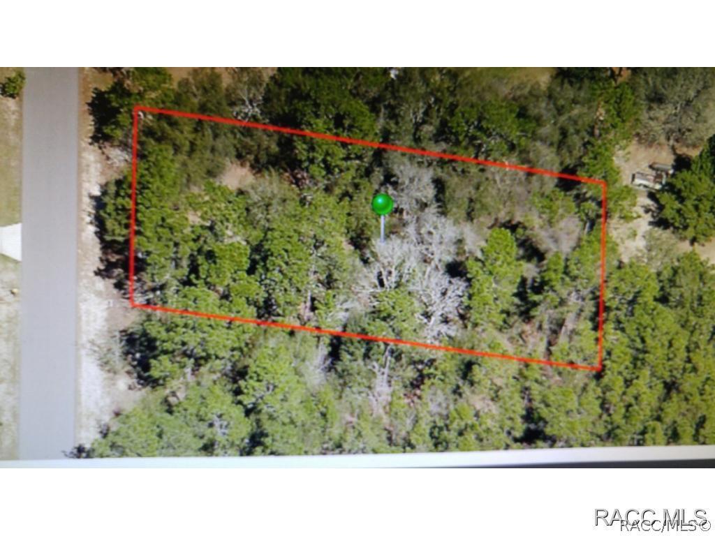 5741 S Luray Ter., Inverness, FL 34452